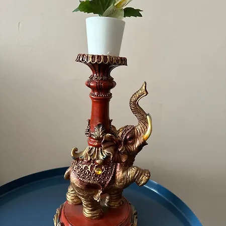 Starfish Appartement